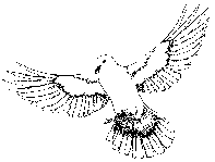 Songbird Image