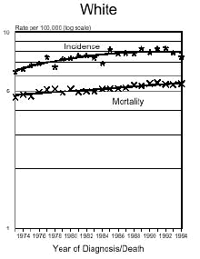 Aspartame Brain Tumors