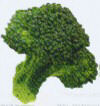 Brocolli