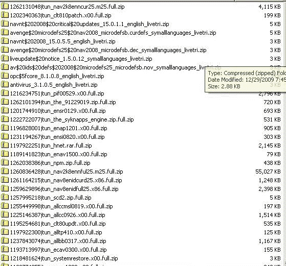 Norton File Updates