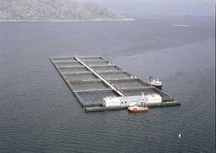 fish farm