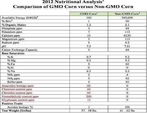 GMO foods