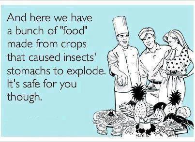 pesticides in GMO foods